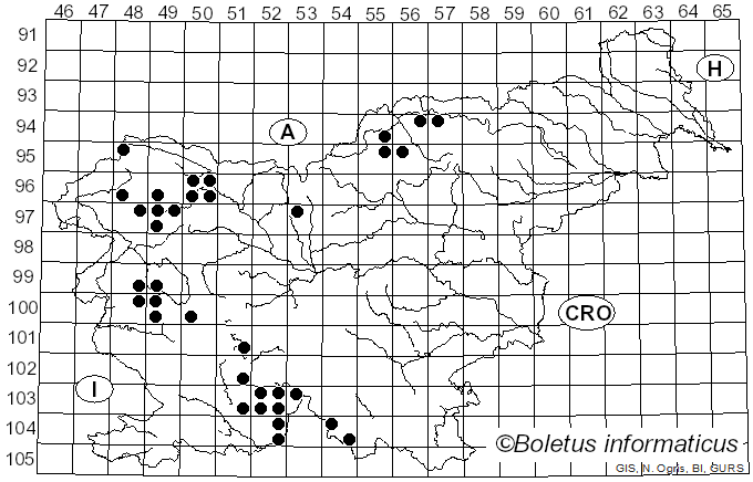 <i>Phaeophyscia</i> Moberg (1977)