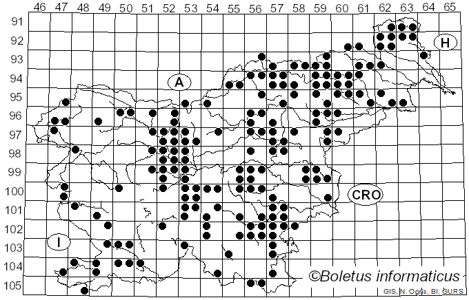 <i>Auricularia auricula-judae</i> (Bull.) Quél. (1886)