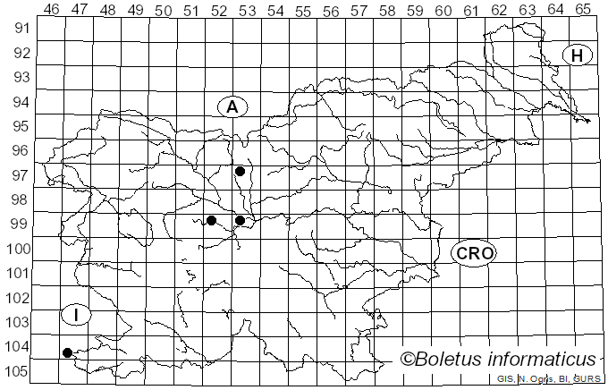 <i>Uromyces rumicis</i> (Schumach.) G. Winter (1884)