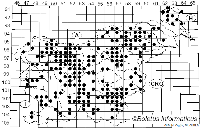 <i>Sarcodon imbricatus</i> (L.) P. Karst. (1881)