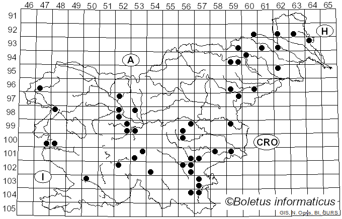 <i>Trametes trogii</i> Berk. (1850)