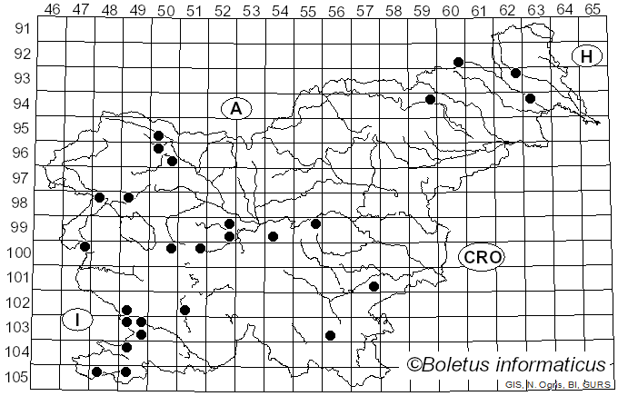 <i>Botryosphaeria</i> Ces. & De Not. (1863)