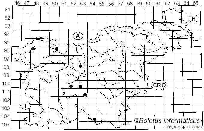 <i>Fuligo septica</i> var. <i>flava</i> (Pers.) Morgan (1895)