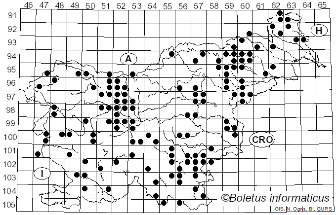 <i>Exidia nigricans</i> (With.) P. Roberts (2009)