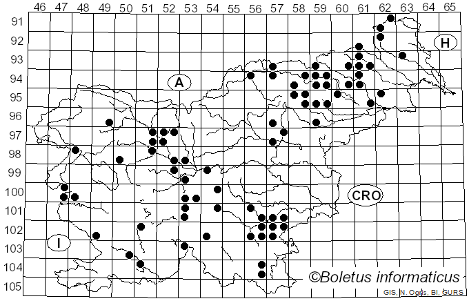 <i>Thaxterogaster vibratilis</i> (Fr.) Niskanen & Liimat. (2022)