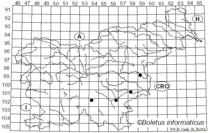 <i>Lentinellus vulpinus</i> (Sowerby) Kühner & Maire (1934)