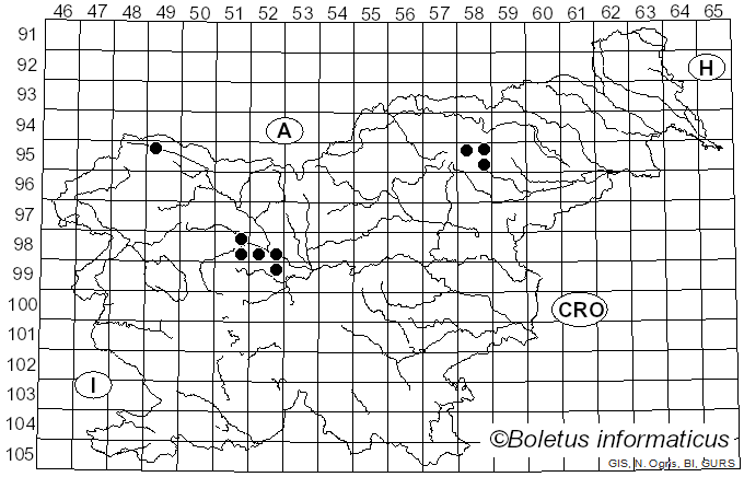 <i>Vibrissea</i> Fr. (1822)