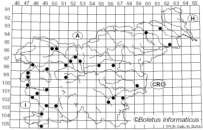 <i>Tulostoma brumale</i> Pers. (1794)