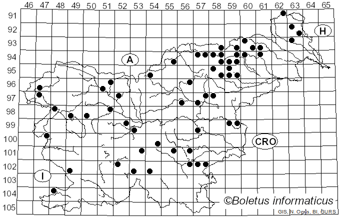 <i>Cortinarius claricolor</i> (Fr.) Fr. (1838)