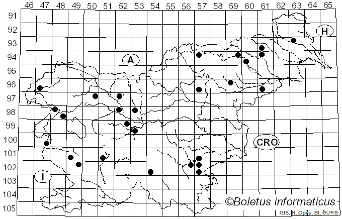 <i>Russula nitida</i> (Pers.) Fr. (1838)