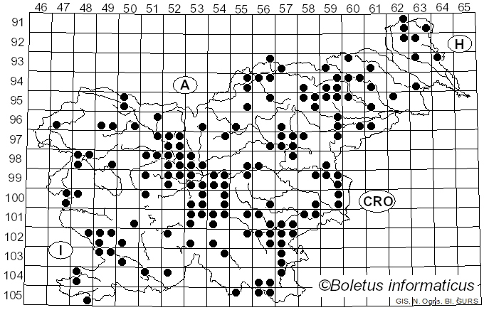 <i>Tricholoma sejunctum</i> (Sowerby) Quél. (1872)