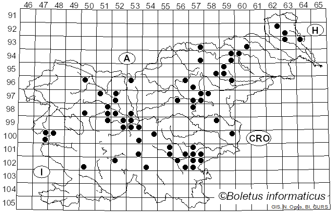 <i>Lactarius pubescens</i> (Fr.) Fr. (1838)
