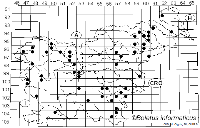 <i>Chondrostereum</i> Pouzar (1959)