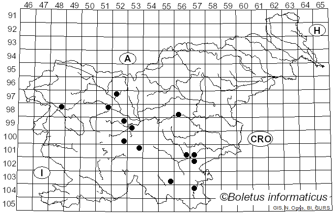 <i>Peziza cerea</i> Sowerby (1796)