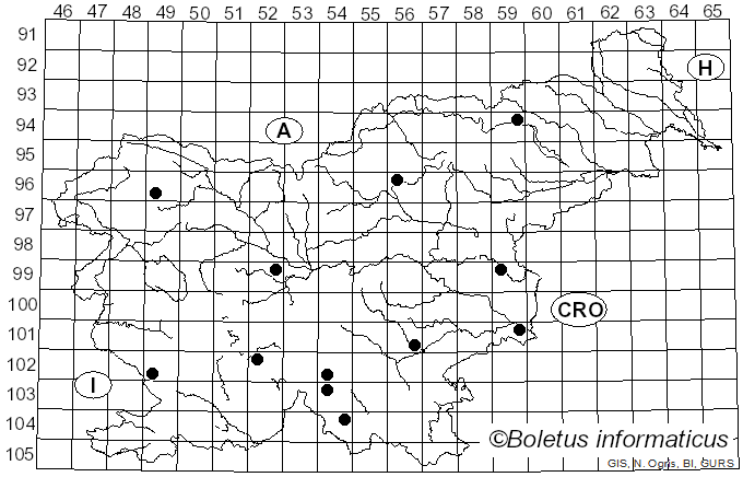 <i>Amanita regalis</i> (Fr.) Michael