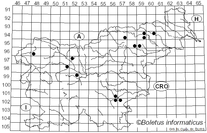 <i>Cortinarius olivaceofuscus</i> Kühner (1955)