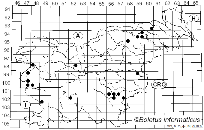 <i>Inocybe splendens</i> R. Heim (1932)