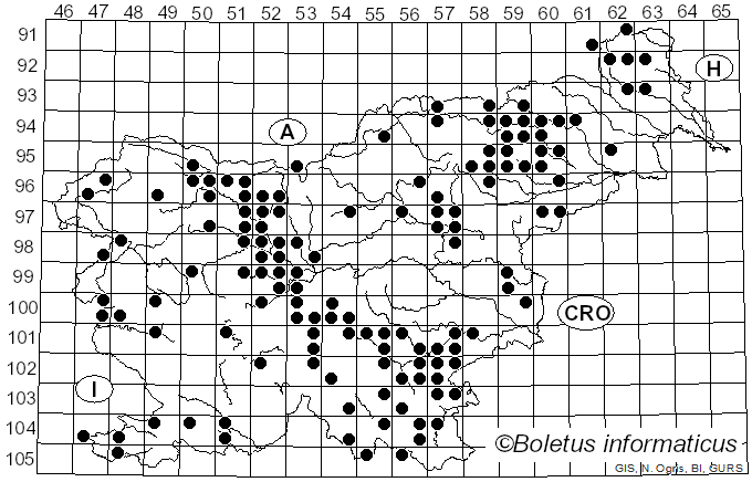 <i>Tremella mesenterica</i> (Schaeff.) Pers. (1801)