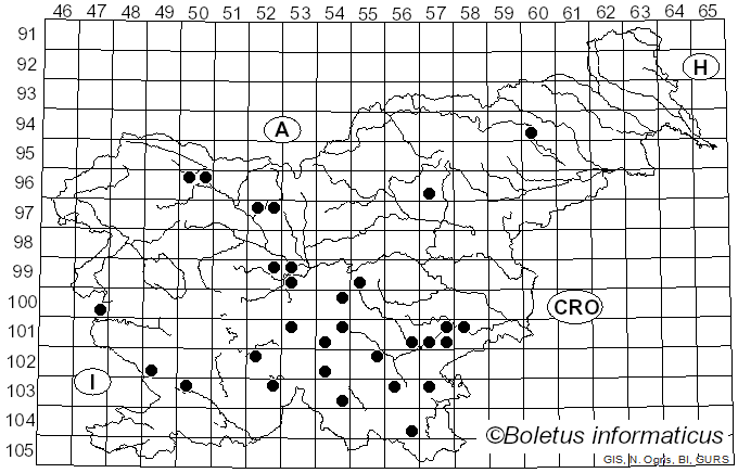 <i>Pseudoinonotus dryadeus</i> (Pers.) T. Wagner & M. Fisch. (2001)