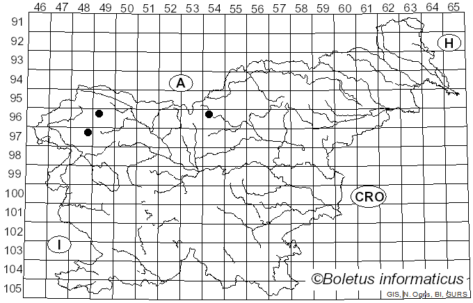 <i>Cheilosia balkana</i> Vujic