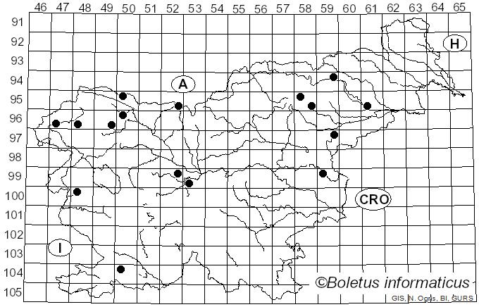 <i>Hygrocybe cantharellus</i> (Schwein.) Murrill (1911)
