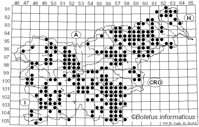 <i>Daedaleopsis</i> J. Schröt. (1888)