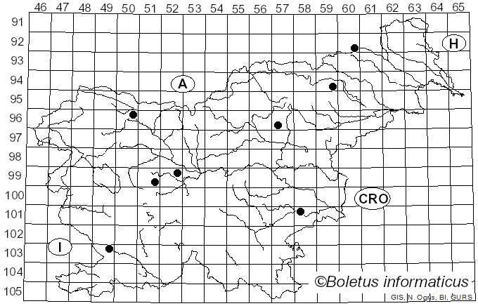 <i>Grandinia</i> Fr. (1838)