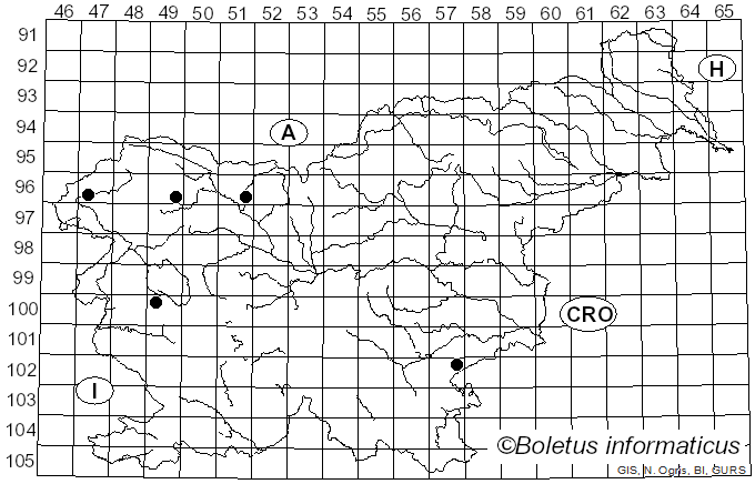 <i>Atractosporocybe</i> P. Alvarado, G. Moreno & Vizzini (2015)