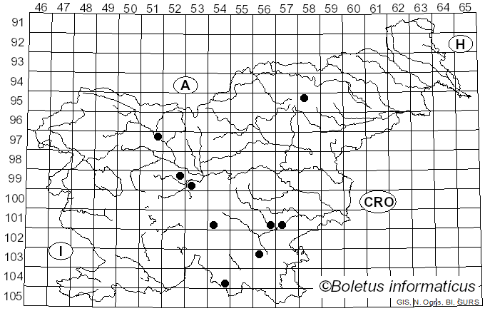 <i>Pluteus chrysophaeus</i> (Schaeff.) Quél. (1872)