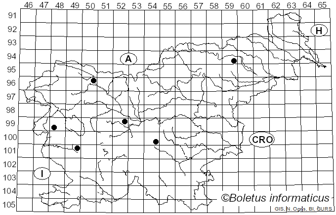 <i>Taphrina carpini</i> (Rostr.) Johanson (1886)