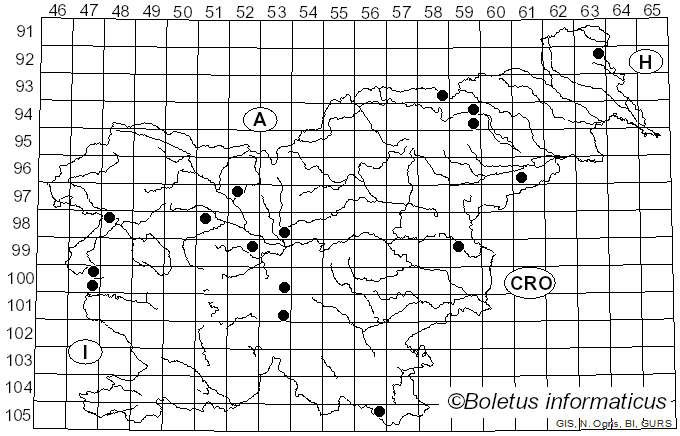 <i>Cyathus stercoreus</i> (Schwein.) De Toni (1888)