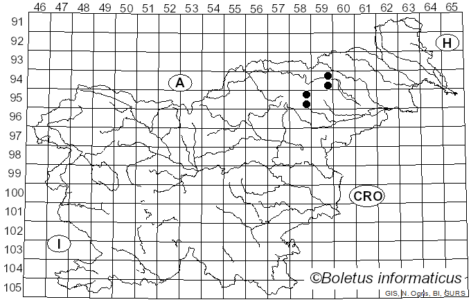 <i>Hyphoderma cremeoalbum</i> (Höhn. & Litsch.) Jülich (1974)