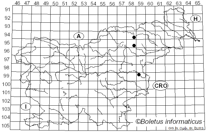 <i>Hebeloma cavipes</i> Huijsman (1961)