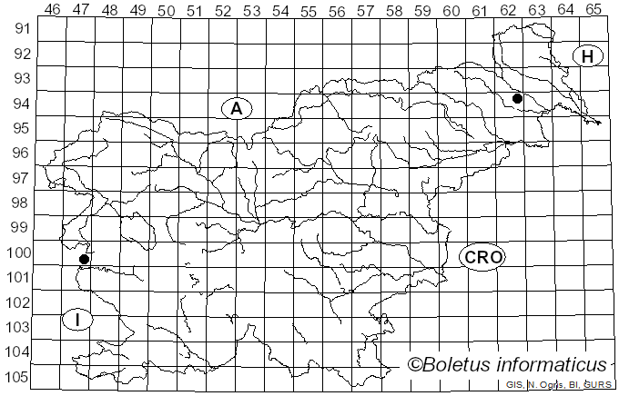 <i>Drepanopeziza</i> (Kleb.) Höhn. (1917)