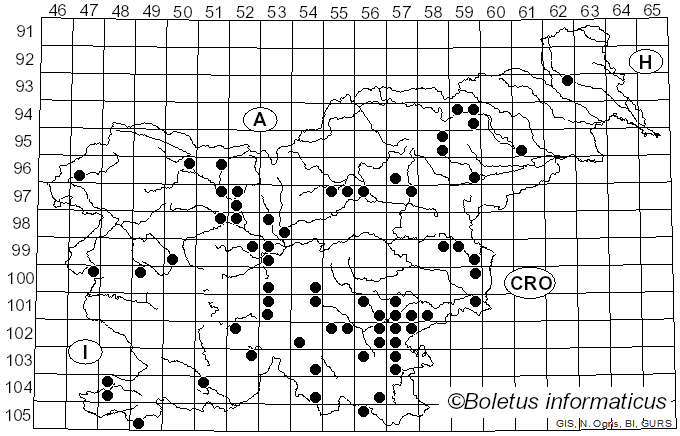 <i>Xerula pudens</i> (Pers.) Singer (1951)