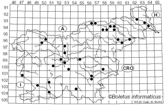 <i>Lophodermium</i> Chevall. (1826)
