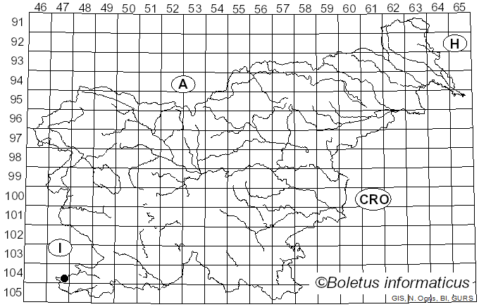 <i>Aseroe rubra</i> Labill. (1800)