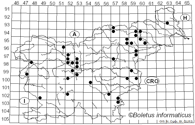 <i>Cantharellula umbonata</i> (J.F. Gmel.) Singer (1936)