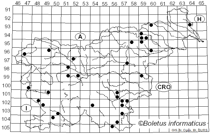 <i>Clitopilus geminus</i> (Paulet) Noordel. & Co-David (2009)