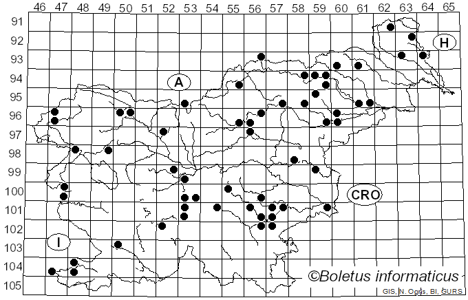<i>Inonotus hispidus</i> (Bolton) P. Karst. (1880)