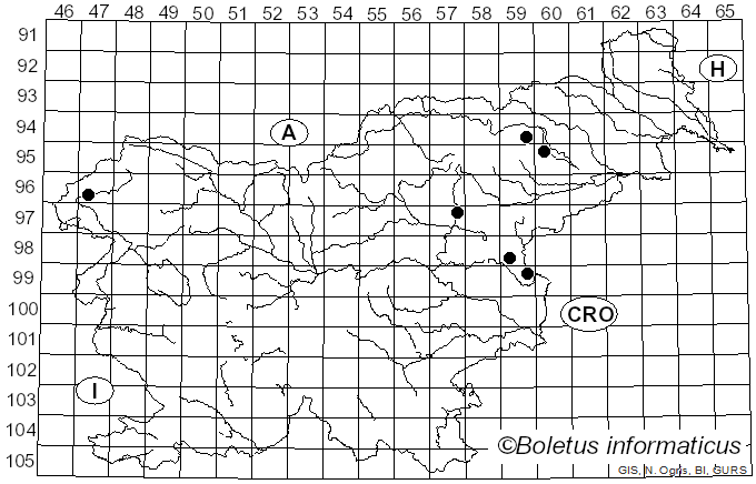 <i>Lepiota brunneoincarnata</i> Chodat & C. Martín (1889)