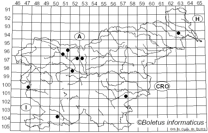 <i>Stictis</i> Pers. (1800)