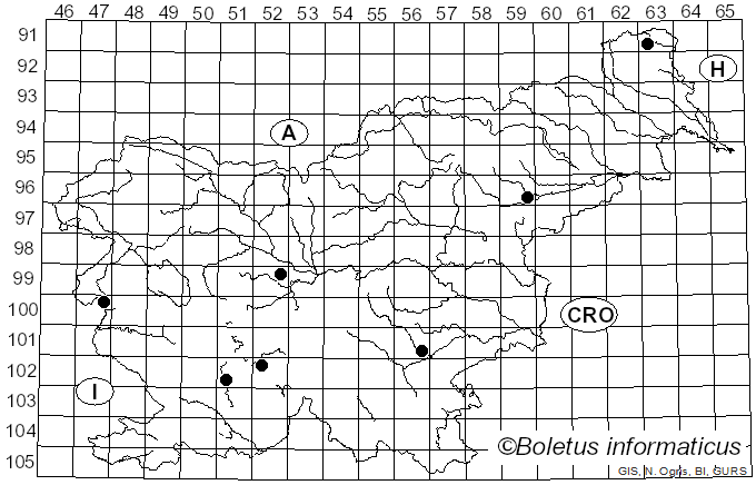 <i>Agaricus macrosporoides</i> Bohus (1974)