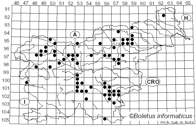 <i>Albatrellus subrubescens</i> (Murrill) Pouzar (1972)