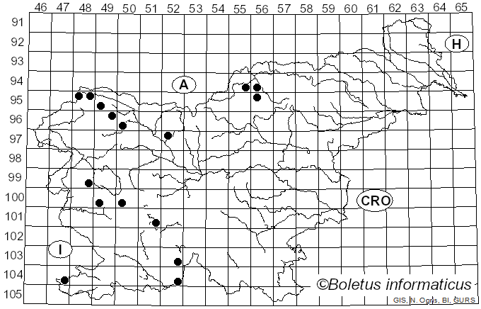 <i>Amandinea</i> M. Choisy ex Scheid. & M. Mayrhofer (1993)