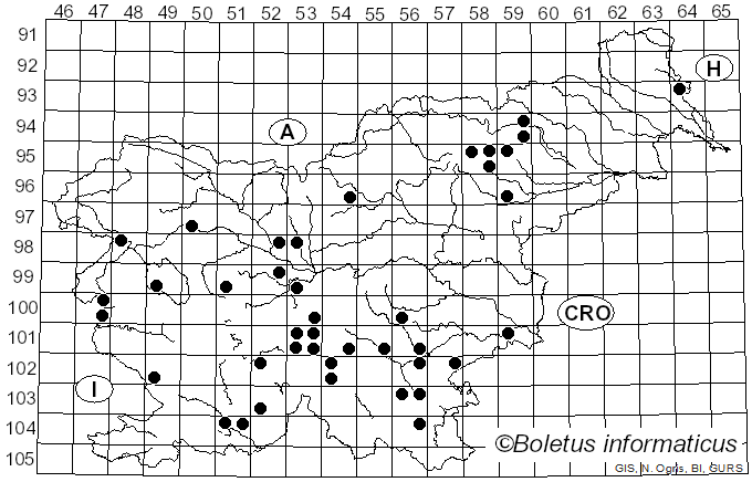 <i>Cortinarius rubicundulus</i> (Rea) A. Pearson (1946)