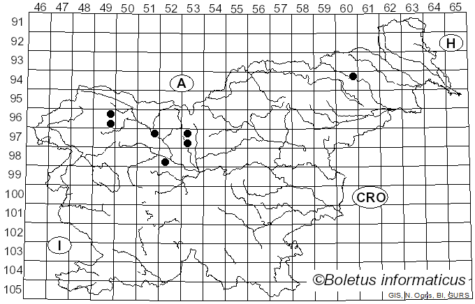 <i>Lachnum sulphureum</i> P. Karst. (1871)