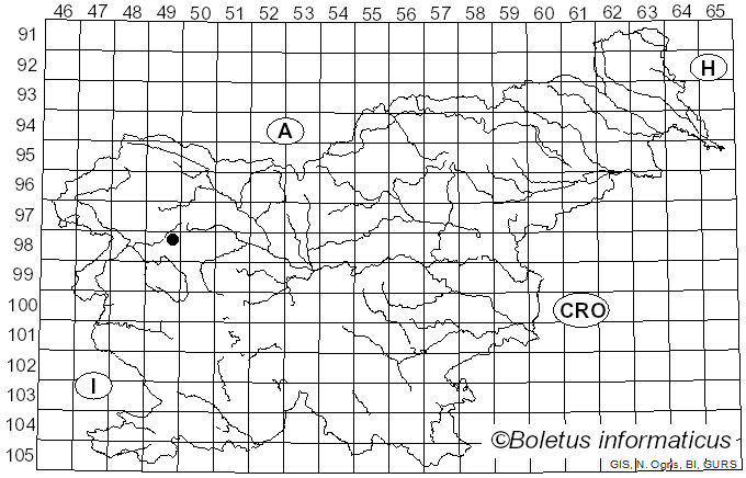 <i>Scutellinia decipiens</i> Le Gal (1966)