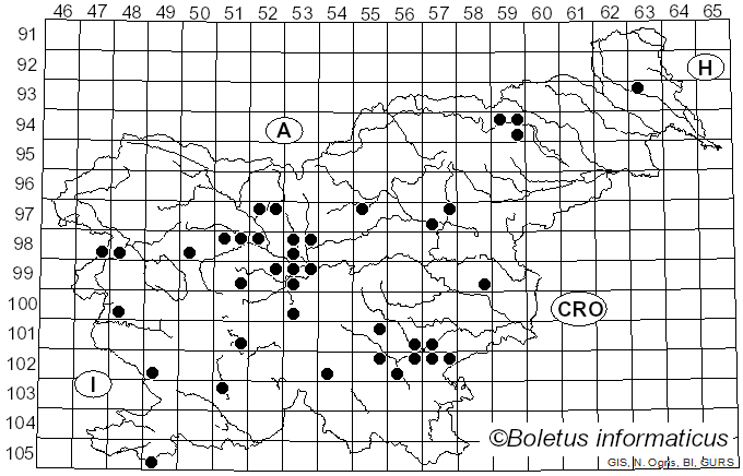 <i>Tapinella panuoides</i> (Batsch) E.-J. Gilbert (1931)