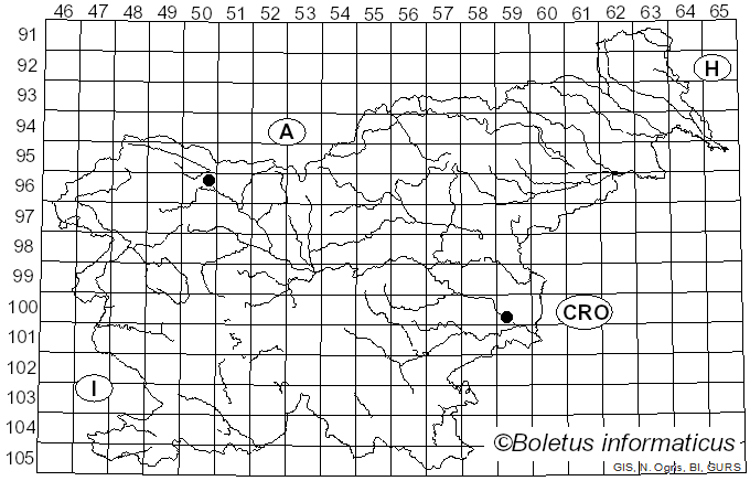 <i>Megaloseptoria</i> Naumov (1925)